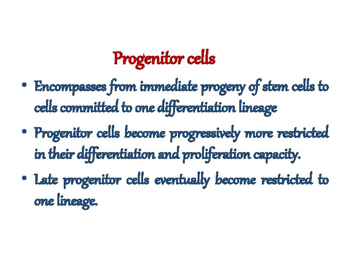 Progenitor cells • Encompasses from immediate progeny of stem cells to cells committed to