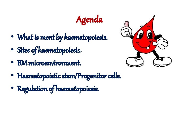 Agenda • • • What is ment by haematopoiesis. Sites of haematopoiesis. BM microenvironment.