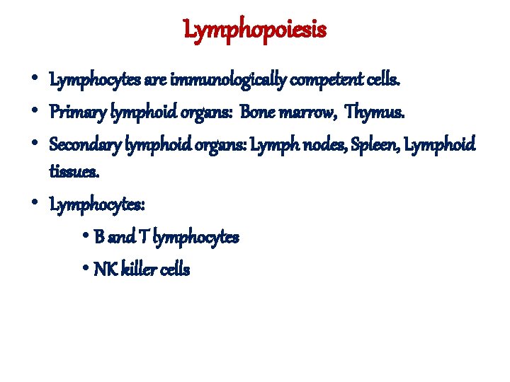 Lymphopoiesis • Lymphocytes are immunologically competent cells. • Primary lymphoid organs: Bone marrow, Thymus.