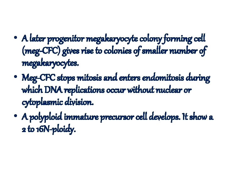 • A later progenitor megakaryocyte colony forming cell (meg-CFC) gives rise to colonies • A later progenitor megakaryocyte colony forming cell (meg-CFC) gives rise to colonies