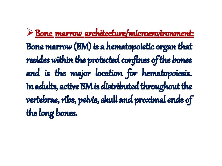 ØBone marrow architecture/microenvironment: Bone marrow (BM) is a hematopoietic organ that resides within the