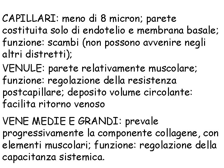 CAPILLARI: meno di 8 micron; parete costituita solo di endotelio e membrana basale; funzione: CAPILLARI: meno di 8 micron; parete costituita solo di endotelio e membrana basale; funzione:
