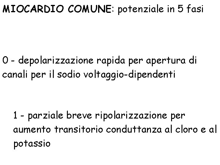 MIOCARDIO COMUNE: potenziale in 5 fasi 0 - depolarizzazione rapida per apertura di canali