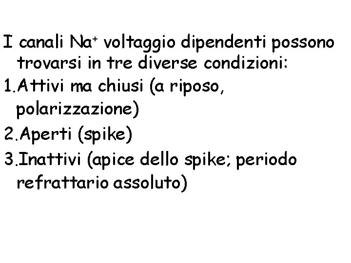 I canali Na+ voltaggio dipendenti possono trovarsi in tre diverse condizioni: 1. Attivi ma I canali Na+ voltaggio dipendenti possono trovarsi in tre diverse condizioni: 1. Attivi ma