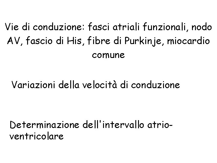 Vie di conduzione: fasci atriali funzionali, nodo AV, fascio di His, fibre di Purkinje,