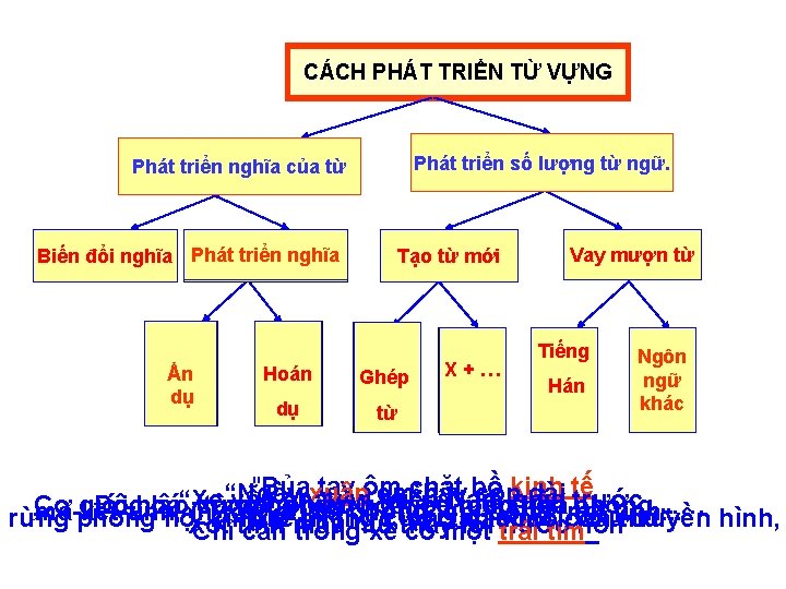 CÁCH PHÁT TRIỂN TỪ VỰNG ? Phát triển số lượng từ ngữ. Phát triển