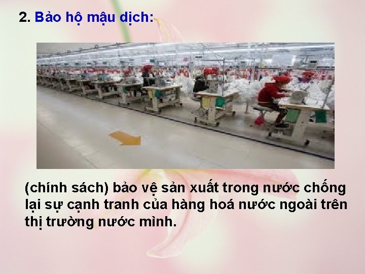 2. Bảo hộ mậu dịch: (chính sách) bảo vệ sản xuất trong nước chống