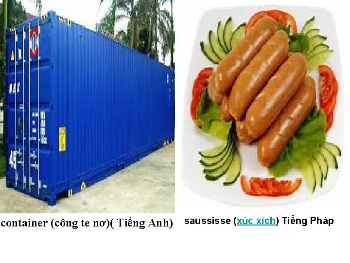 container (công te nơ)( Tiếng Anh) saussisse (xúc xích) Tiếng Pháp 