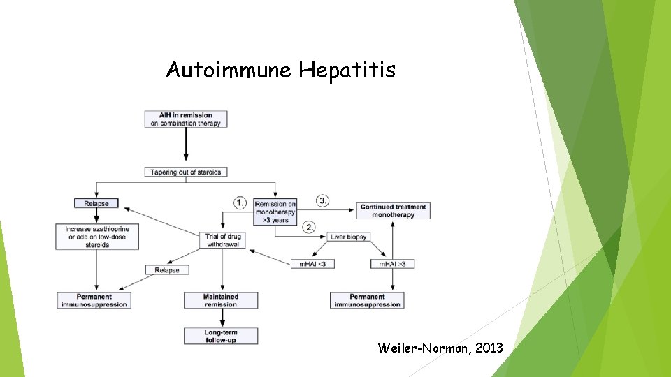 Autoimmune Hepatitis Weiler-Norman, 2013 