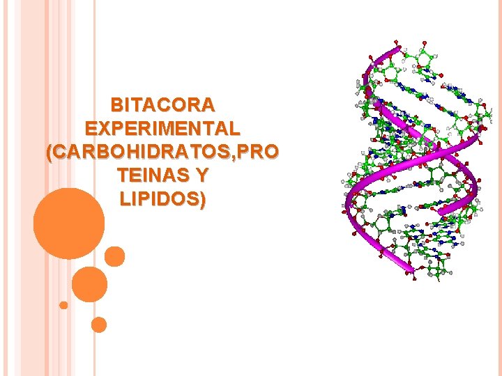 BITACORA EXPERIMENTAL (CARBOHIDRATOS, PRO TEINAS Y LIPIDOS) 