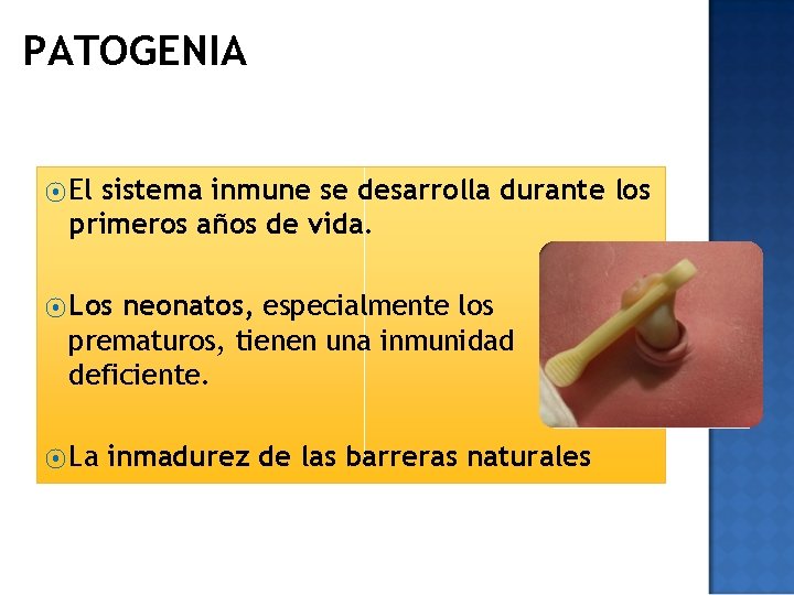 PATOGENIA ⦿ El sistema inmune se desarrolla durante los primeros años de vida. ⦿