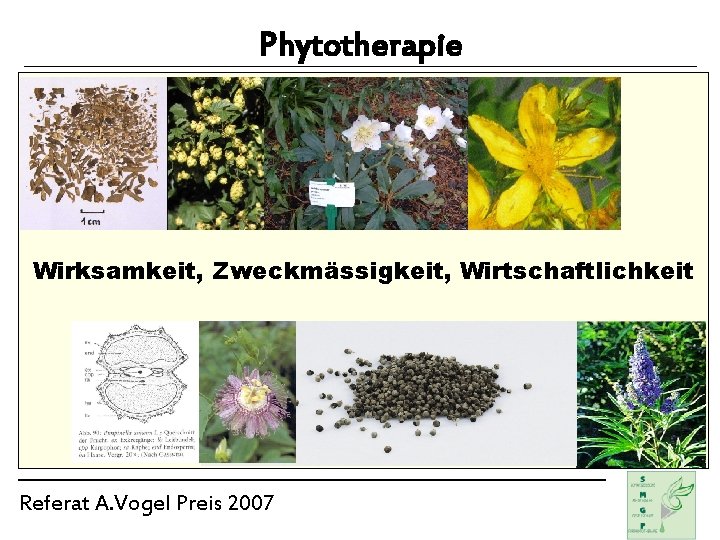 Phytotherapie Wirksamkeit, Zweckmässigkeit, Wirtschaftlichkeit Referat A. Vogel Preis 2007 