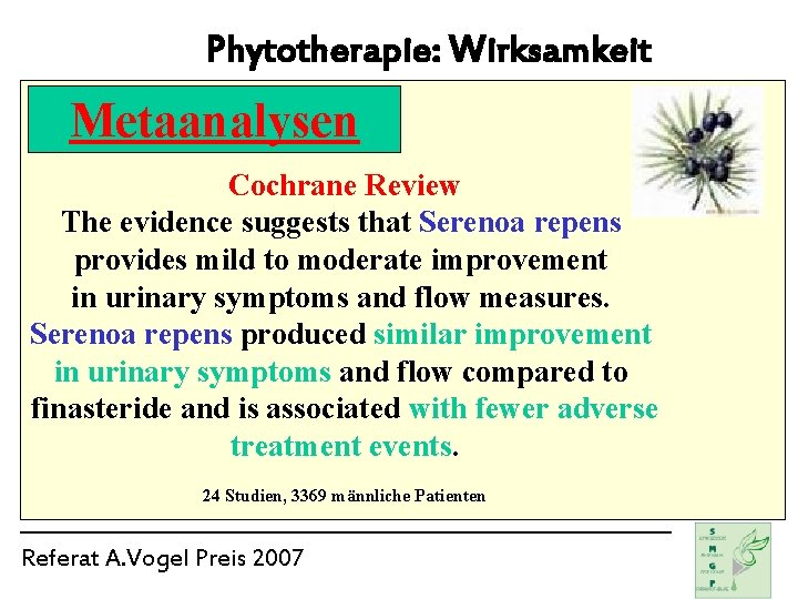 Phytotherapie: Wirksamkeit Metaanalysen Cochrane Review The evidence suggests that Serenoa repens provides mild to