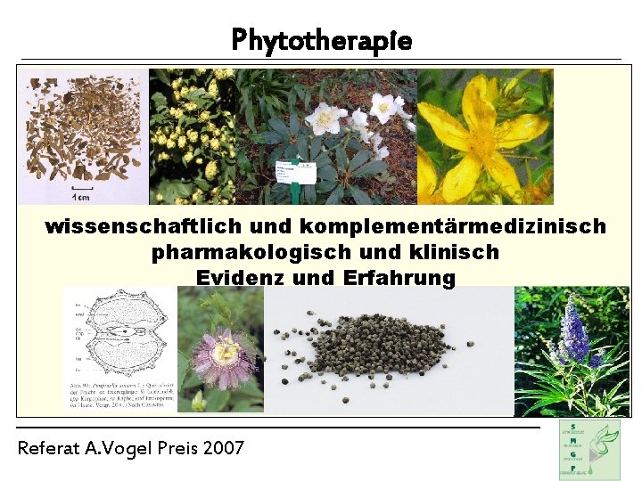 Phytotherapie wissenschaftlich und komplementärmedizinisch pharmakologisch und klinisch Evidenz und Erfahrung Referat A. Vogel Preis