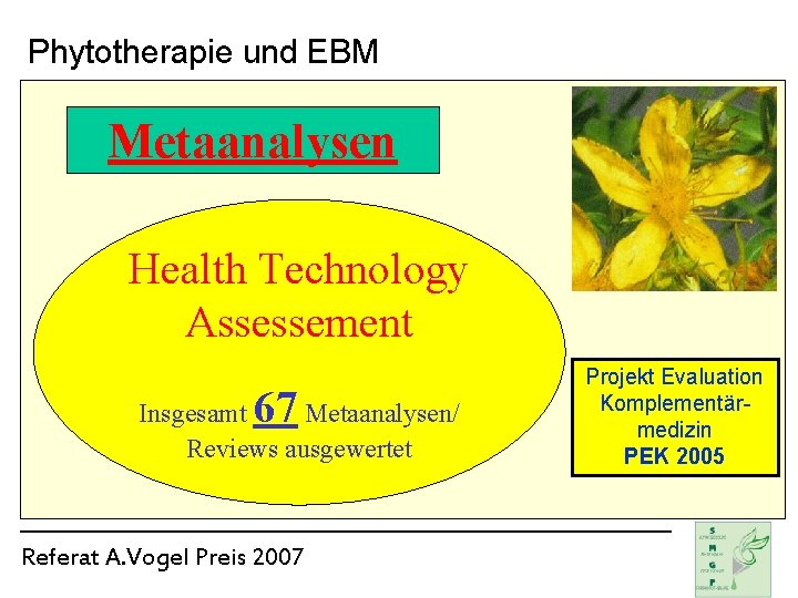 Phytotherapie und EBM Metaanalysen Health Technology Assessement 67 Insgesamt Metaanalysen/ Reviews ausgewertet Referat A.