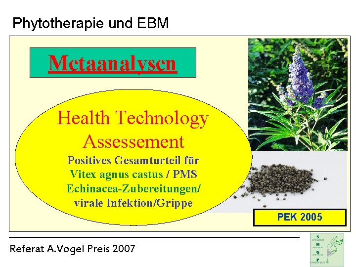 Phytotherapie und EBM Metaanalysen Health Technology Assessement Positives Gesamturteil für Vitex agnus castus /