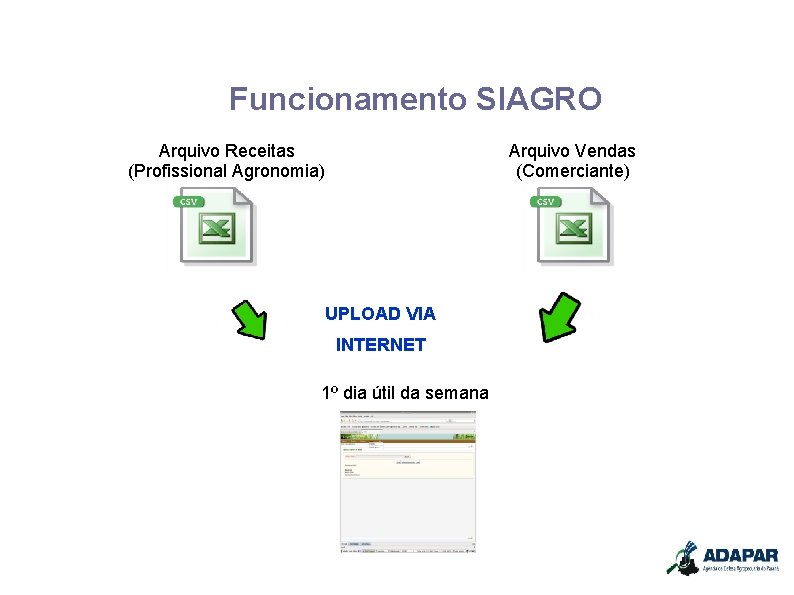 Funcionamento SIAGRO Arquivo Receitas (Profissional Agronomia) Arquivo Vendas (Comerciante) UPLOAD VIA INTERNET 1º dia