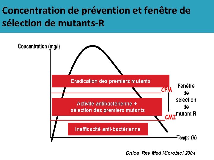 Concentration de prévention et fenêtre de sélection de mutants-R Eradication des premiers mutants Activité