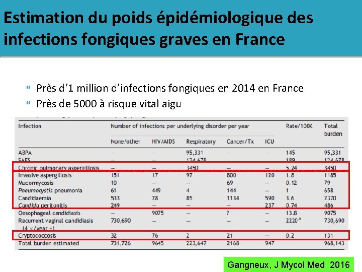 Estimation du poids épidémiologique des infections fongiques graves en France Près d’ 1 million