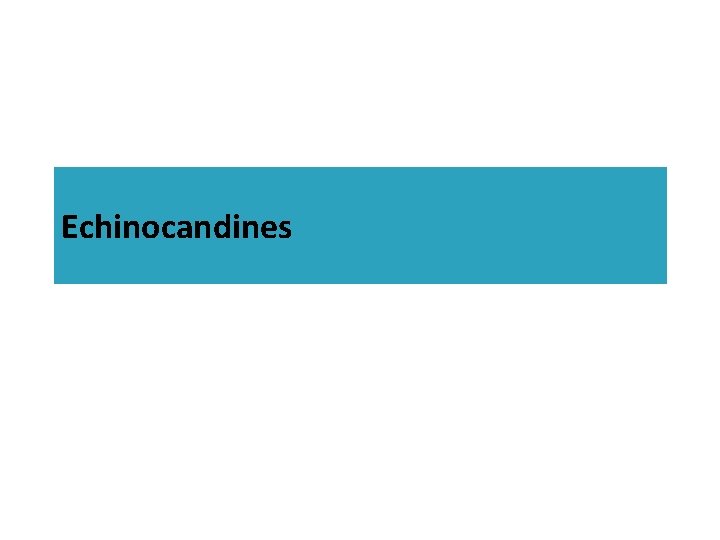 Echinocandines 