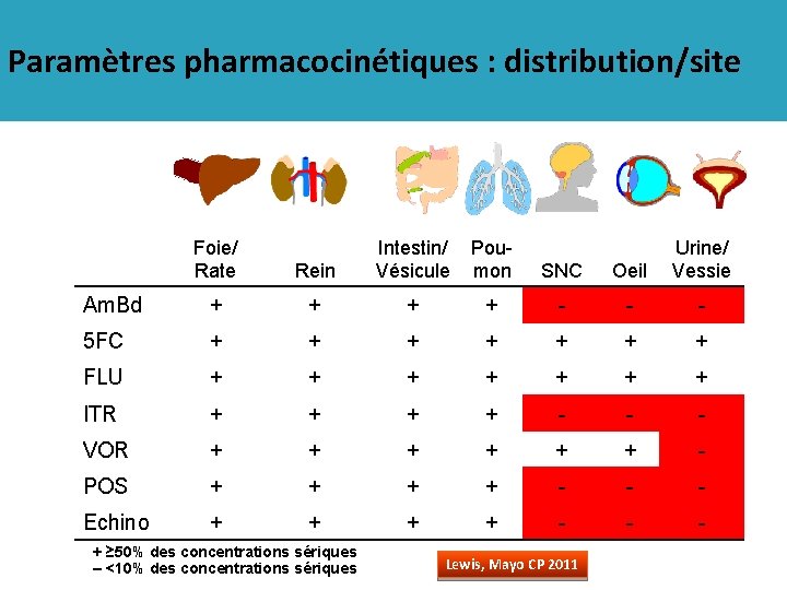 Paramètres pharmacocinétiques : distribution/site Foie/ Rate SNC Oeil Urine/ Vessie Rein Am. Bd +