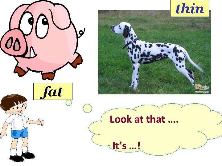thin fat Look at that …. It’s …! 