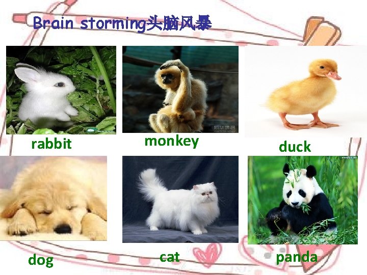 Brain storming头脑风暴 rabbit dog monkey duck cat panda 