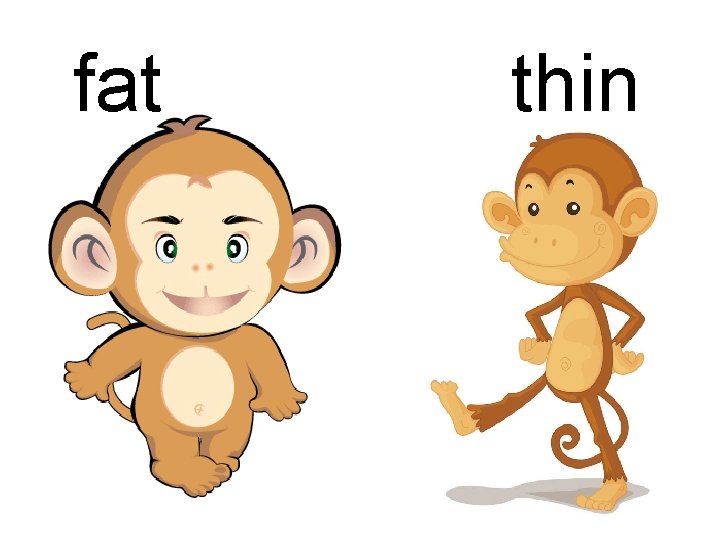 fat thin 