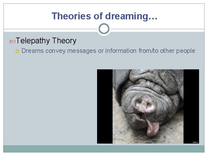 Theories of dreaming… Telepathy Theory Dreams convey messages or information from/to other people 
