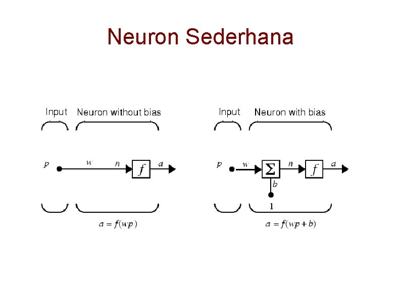 Neuron Sederhana 