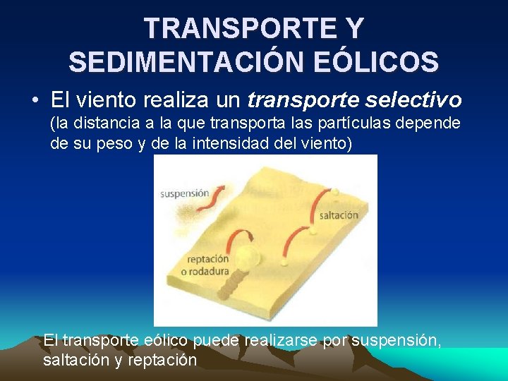 TRANSPORTE Y SEDIMENTACIÓN EÓLICOS • El viento realiza un transporte selectivo (la distancia a