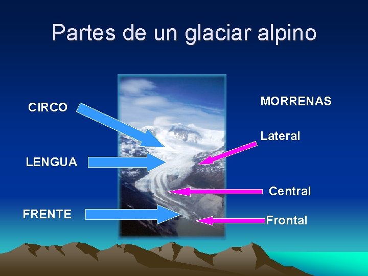 Partes de un glaciar alpino CIRCO MORRENAS Lateral LENGUA Central FRENTE Frontal 