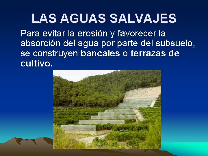 LAS AGUAS SALVAJES Para evitar la erosión y favorecer la absorción del agua por