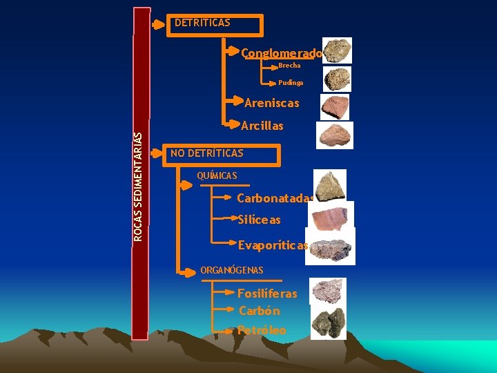 DETRÍTICAS Conglomerados Brecha Pudinga ROCAS SEDIMENTARIAS Areniscas Arcillas NO DETRÍTICAS QUÍMICAS Carbonatadas Silíceas Evaporíticas