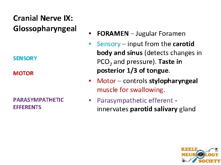 Cranial Nerve IX: Glossopharyngeal SENSORY MOTOR PARASYMPATHETIC EFFERENTS • FORAMEN – Jugular Foramen •