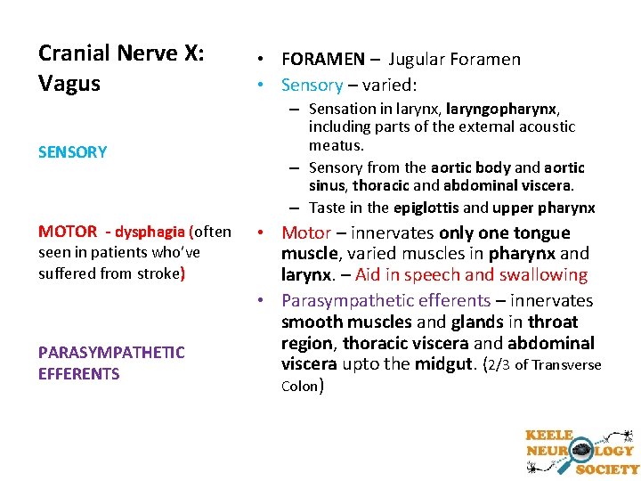 Cranial Nerve X: Vagus SENSORY MOTOR - dysphagia (often ( seen in patients who’ve