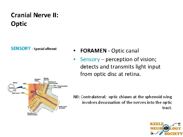 Cranial Nerve II: Optic SENSORY - Special afferent • FORAMEN - Optic canal •