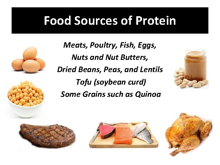 Food Sources of Protein Meats, Poultry, Fish, Eggs, Nuts and Nut Butters, Dried Beans,