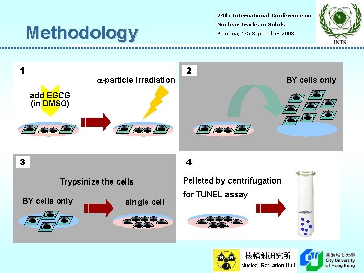 24 th International Conference on Nuclear Tracks in Solids Methodology 1 -particle irradiation Bologna,