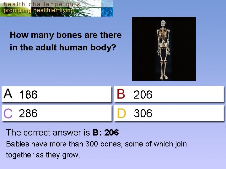 How many bones are there in the adult human body? 186 206 286 306