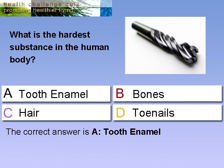 What is the hardest substance in the human body? Tooth Enamel Bones Hair Toenails