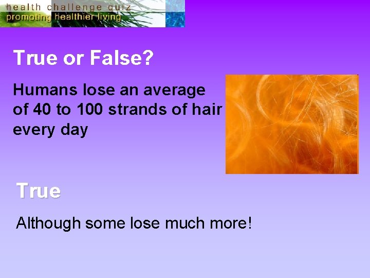 True or False? Humans lose an average of 40 to 100 strands of hair