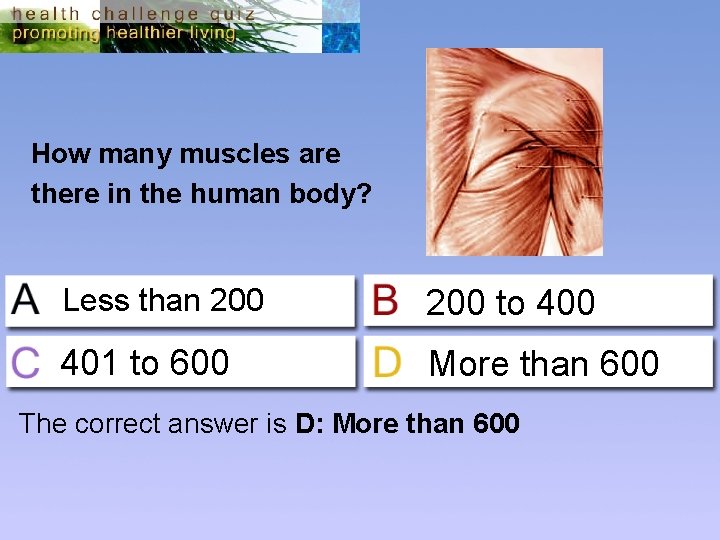 How many muscles are there in the human body? Less than 200 to 400