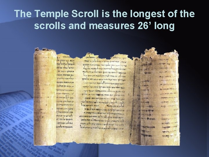 The Temple Scroll is the longest of the scrolls and measures 26’ long 