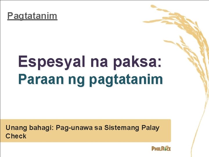 Pagtatanim Espesyal na paksa: Paraan ng pagtatanim Unang bahagi: Pag-unawa sa Sistemang Palay Check