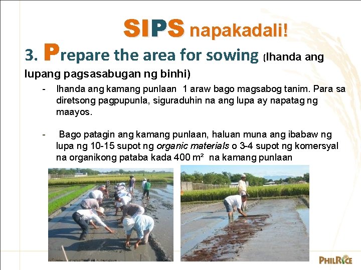 SIPS napakadali! 3. Prepare the area for sowing (Ihanda ang lupang pagsasabugan ng binhi)