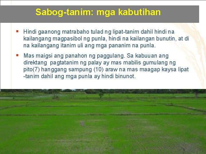 Sabog-tanim: mga kabutihan § Hindi gaanong matrabaho tulad ng lipat-tanim dahil hindi na kailangang