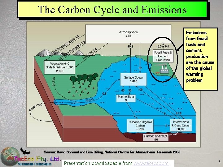 The Carbon Cycle and Emissions from fossil fuels and cement production are the cause