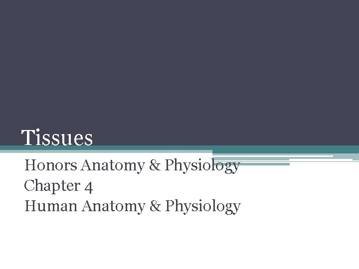 Tissues Honors Anatomy & Physiology Chapter 4 Human Anatomy & Physiology 