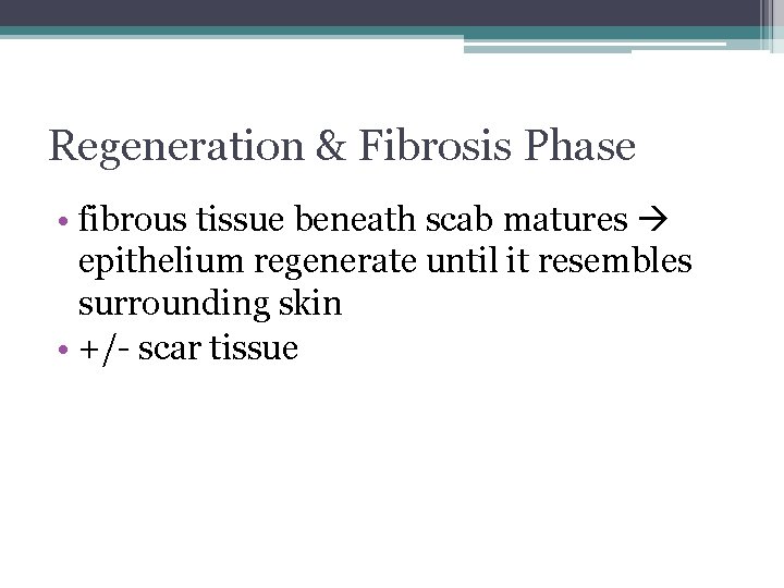 Regeneration & Fibrosis Phase • fibrous tissue beneath scab matures epithelium regenerate until it